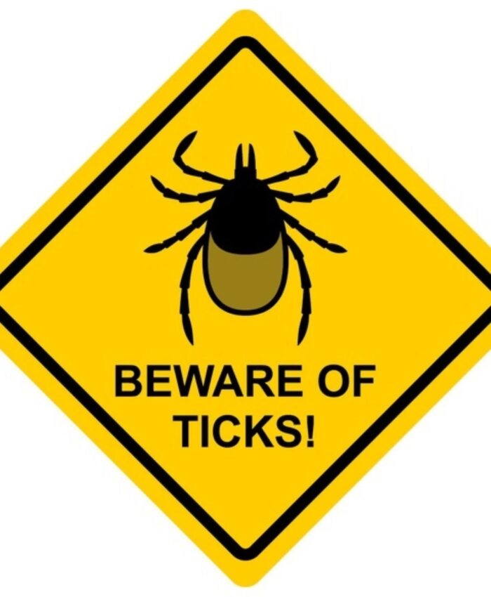 484290238_18039457466605316_5170325140736540119_n