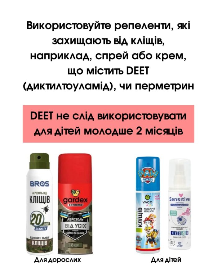 484408074_18039457427605316_2366589752955489078_n