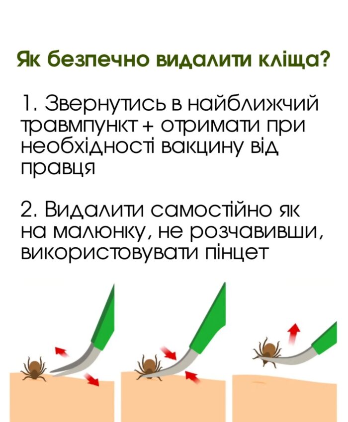 485093951_18039457436605316_8644057744548222240_n